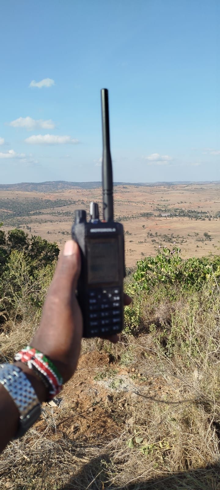 Conservation & Wildlife